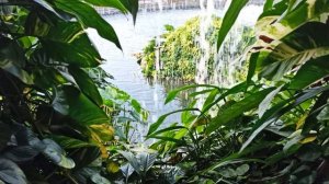 ТАЙЛАНД. ПАТТАЙЯ. "МИНИ СИАМ" НЕБОЛЬШОЙ ВОДОПАДИК В ГРОТЕ