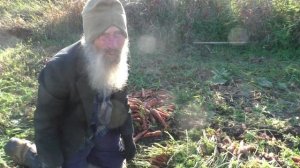 Готовимся к зиме, морковь убираем 01.10.2025