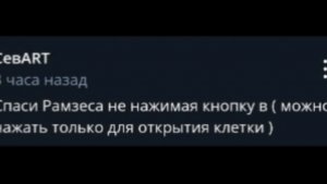 Челлендж в супер беар адвинчер