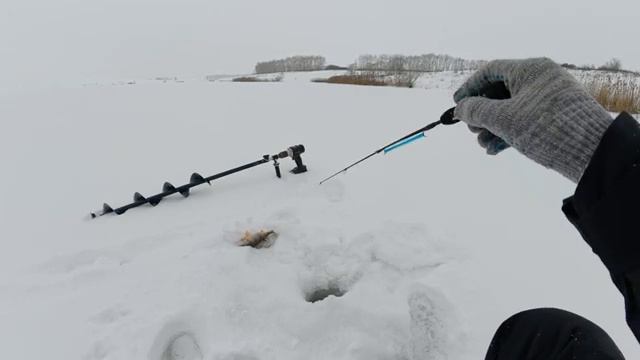 НА ЭТО НАЛОВИШЬ ОКУНЯ МНОГО, С УЛОВОМ БУДЕШЬ ВСЕГДА! Зимняя рыбалка 2026