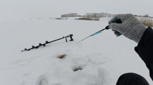 НА ЭТО НАЛОВИШЬ ОКУНЯ МНОГО, С УЛОВОМ БУДЕШЬ ВСЕГДА! Зимняя рыбалка 2026