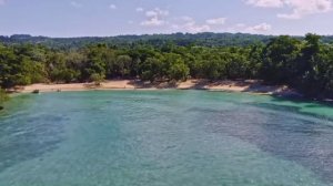 Успокаивающая музыка для нервов 🌿 лечебная музыка для сердца и сосудов, релакс, музыка для души