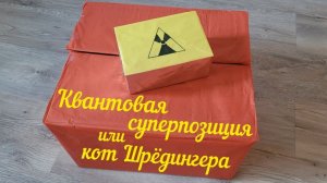 Квантовая суперпозиция или кот Шредингера