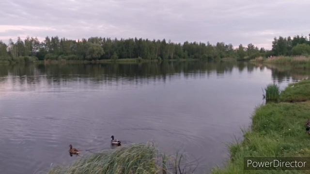 Поездка на озеро Торфяника, Королево