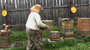 Весенняя ревизия,вывод маток,создание отводков (архив)