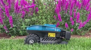 Робот газонокосилка Wiper I70. Компактный итальянский робот в условиях сложного газона и сада.