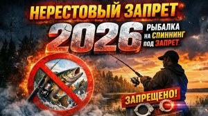 НЕРЕСТОВЫЙ ЗАПРЕТ 2026 Сетями ловить можно НА СПИННИНГ НЕТ Рыбалка под запретом