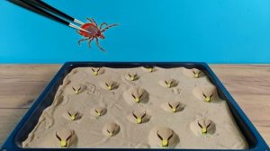 Что если Клещ кровопийца попадет в логово к муравьиным львам