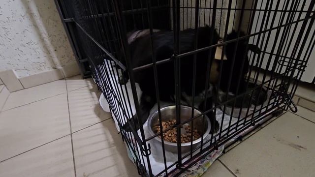 Заложница «любви»… | Люся