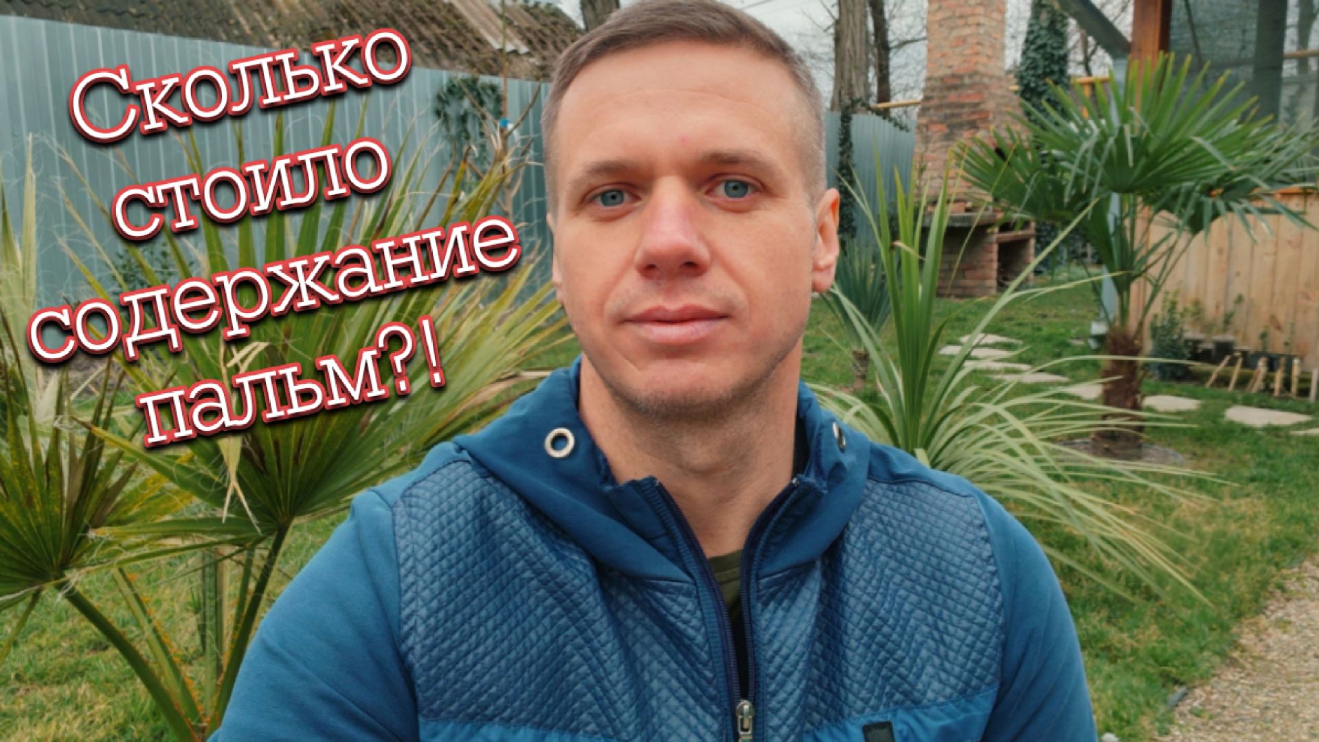 Сколько же стоило обогревать пальмы всю зиму