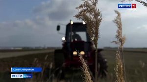 В Крыму фермеры увеличивают площади под картофель и другие овощи за счёт господдержки