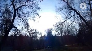 Истина в вине