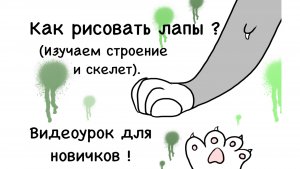 🧐 Как рисовать лапы ? Видеоурок для новичков ! 😊
