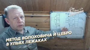 Как работают методы Волоховича и Цебро в ульях-лежаках Якимова