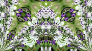 Видеофоны! Видеофон Подснежники 9! Футаж от Киностудии Мудрого Кота Тимофея!