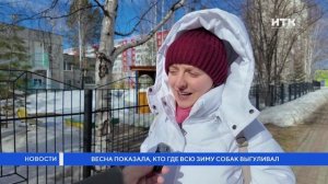 Весна показала, кто где всю зиму собак выгуливал