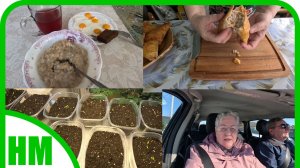 26 марта. Взошли томатики. Приготовила завтрак, треугольники, салат и поехали к подологу.