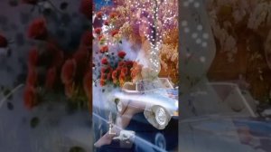 ЗАГАДКА... ❤️❤️