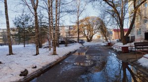 Мартовский кот/ на всякий случай/ покупки и гостинцы