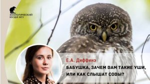 Екатерина Диффинэ «Бабушка, зачем вам такие уши, или Как слышат совы?»