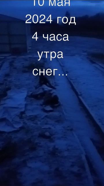 10.05.2024. СНЕГ В МАЕ🙈