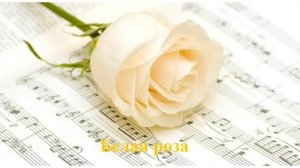 Белая роза - Екатерина Кодина