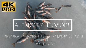 Рыбалка в Дубках. Финский залив. Зимняя рыбалка 11.03.2026.