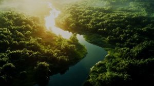 ТОЛЬКО ТЫ.  ШАНСОН.  СОНГЛИ ГИФТ.