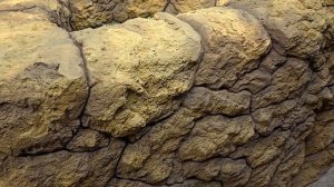 Покраска клумбы.