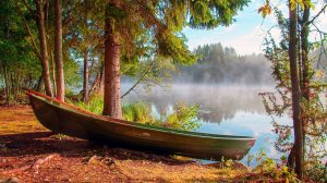 ✨ ОЧЕНЬ КРАСИВАЯ РАССЛАБЛЯЮЩАЯ МУЗЫКА ДЛЯ ДУШИ 🎵 УСПОКАИВАЮЩАЯ МУЗЫКА ДЛЯ СНА В ЛОДКЕ НА ПРУДУ