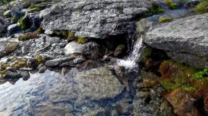 Хибины и Терский берег-2023