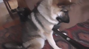 Мой фильм  В первую очередь уборка, а потом всё остальное!