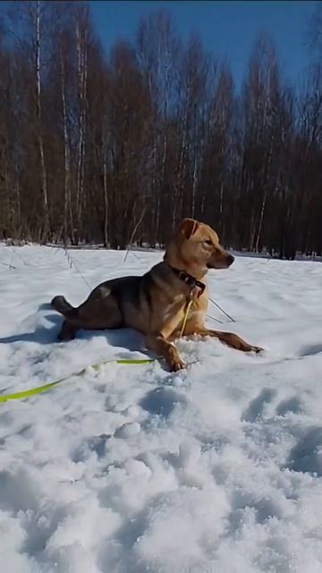 MOV_20260325_125911_899