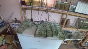 Новый день