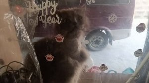 САНЬ ОТКРОЙ :)