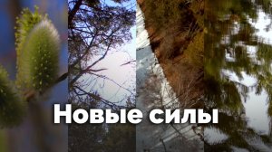 Новые силы | С любовью к русской природе