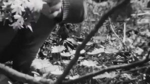 ЖИТЬ ИЛИ ПИТЬ