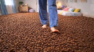 ИИ. Постелила дома полы с искусственным интеллектом, установила на кухне мойку с ним же.