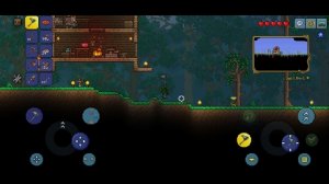 Я поймал золотую в птицу в Террарии | Суходрищик Terraria