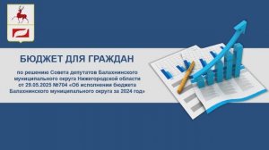 Исполнение бюджета за 2024 год_по решению