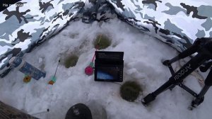 Открыл сезон РЫБАЛКИ. Нашёл рыбу в яме где зимуют. Мои уловистые МОРМЫШКИ. 11.03.26