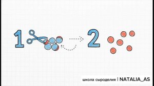 УРОК 7. СЫЧУЖНЫЙ ФЕРМЕНТ — КАК ОН РАБОТАЕТ