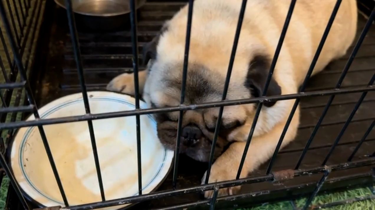 Вы даже не заметили, что у меня кончилась еда!