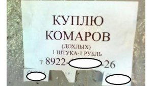 Лютые объявления. Куплю КОМАРОВ мертвых! Одна штука - рубль