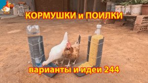 Кормушки и поилки для кур своими руками 244 🪚✂️ Пошаговая инструкция как сделать 🐔 🐓❣️