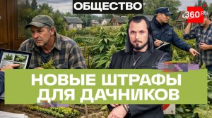 За сорняки на дачном участке — штраф? Бер