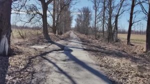 Погуляли у Колпино, первая встреча с гадюкой,  март 2026