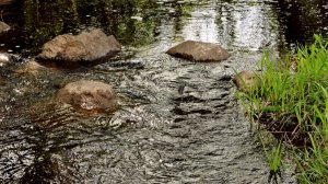 Волшебная река