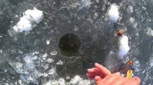 НА ЭТОМ ЛЬДУ ХОДИТЬ ОПАСНО, но ЛЕЩ КЛЮЁТ АКТИВНО. Зимняя рыбалка на леща.