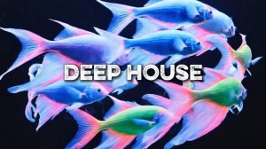 Deep House Mix 2026 🎧 Музыка для Фона | Работа, Учеба, Чилл | Универсальный Микс